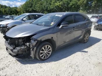  Salvage Lexus NX