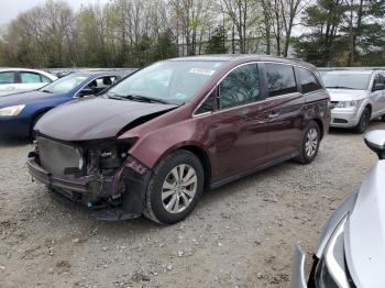  Salvage Honda Odyssey