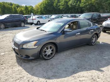  Salvage Nissan Maxima