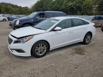  Salvage Hyundai SONATA