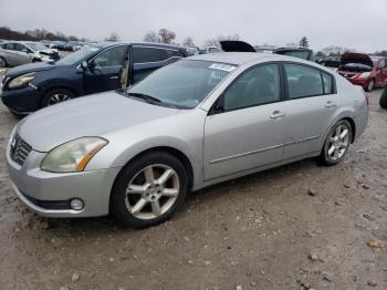  Salvage Nissan Maxima