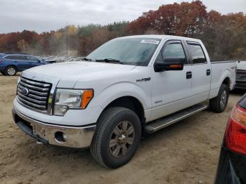  Salvage Ford E-150