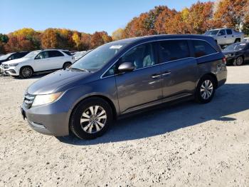  Salvage Honda Odyssey