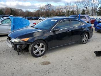  Salvage Acura TSX