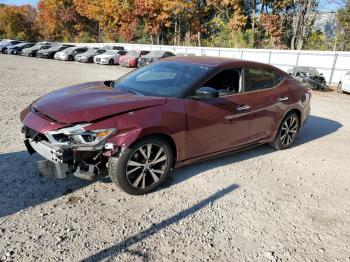  Salvage Nissan Maxima