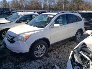  Salvage Honda Crv