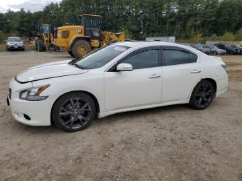  Salvage Nissan Maxima