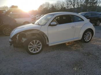  Salvage Volkswagen Beetle