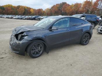  Salvage Tesla Model Y