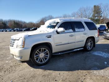  Salvage Cadillac Escalade