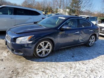  Salvage Nissan Maxima