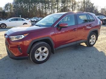  Salvage Toyota RAV4