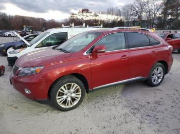  Salvage Lexus RX