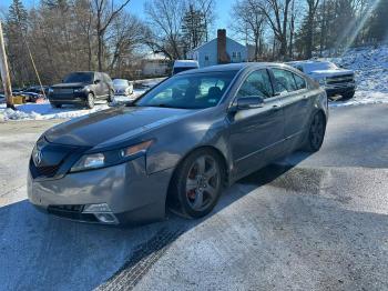  Salvage Acura TL