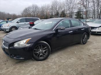  Salvage Nissan Maxima