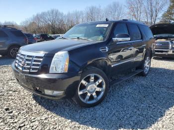  Salvage Cadillac Escalade