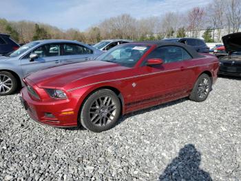  Salvage Ford Mustang