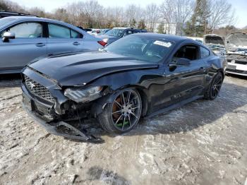  Salvage Ford Mustang