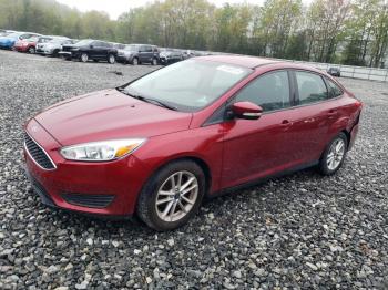  Salvage Ford Focus