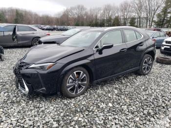  Salvage Lexus Ux
