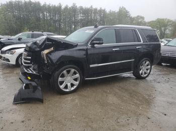  Salvage Cadillac Escalade