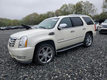  Salvage Cadillac Escalade