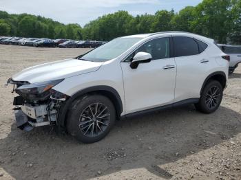  Salvage Lexus NX