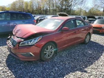  Salvage Hyundai SONATA