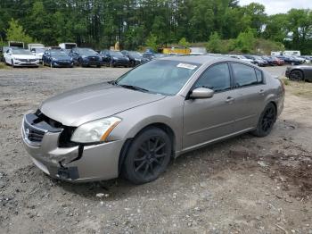  Salvage Nissan Maxima