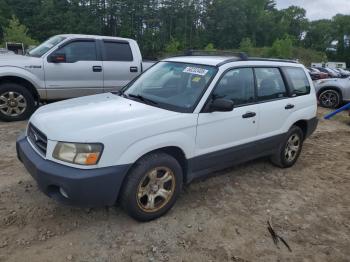  Salvage Subaru Forester
