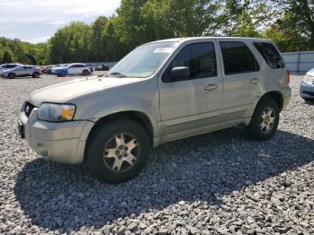  Salvage Ford Escape