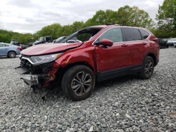  Salvage Honda Crv
