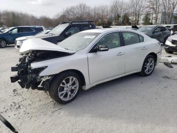  Salvage Nissan Maxima