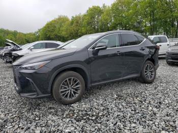  Salvage Lexus NX