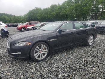  Salvage Jaguar XJ