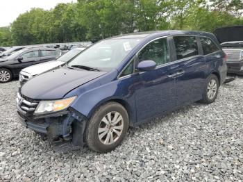  Salvage Honda Odyssey