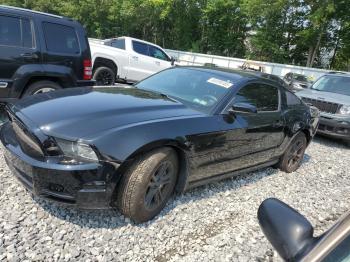  Salvage Ford Mustang