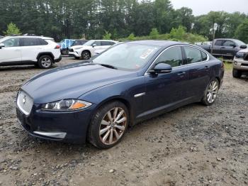  Salvage Jaguar XF