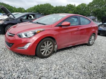  Salvage Hyundai ELANTRA