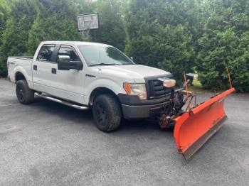 Salvage Ford F-150