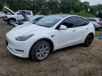  Salvage Tesla Model Y