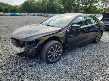  Salvage Acura TLX