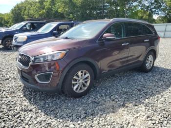  Salvage Kia Sorento