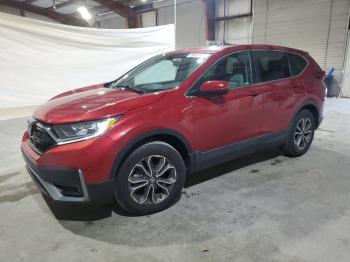  Salvage Honda Crv