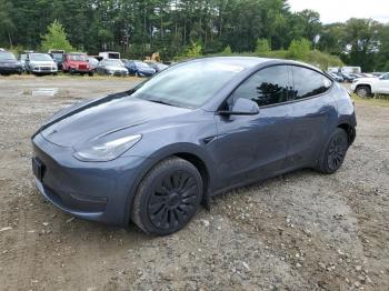  Salvage Tesla Model Y