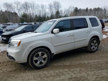  Salvage Honda Pilot