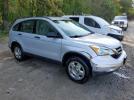 Honda Crv Lx Image 5