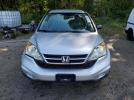 Honda Crv Lx Image 2