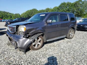  Salvage Honda Pilot