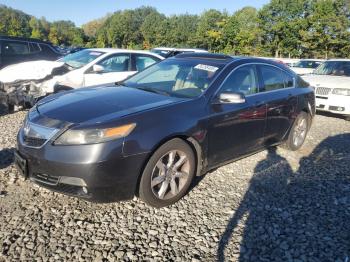  Salvage Acura TL